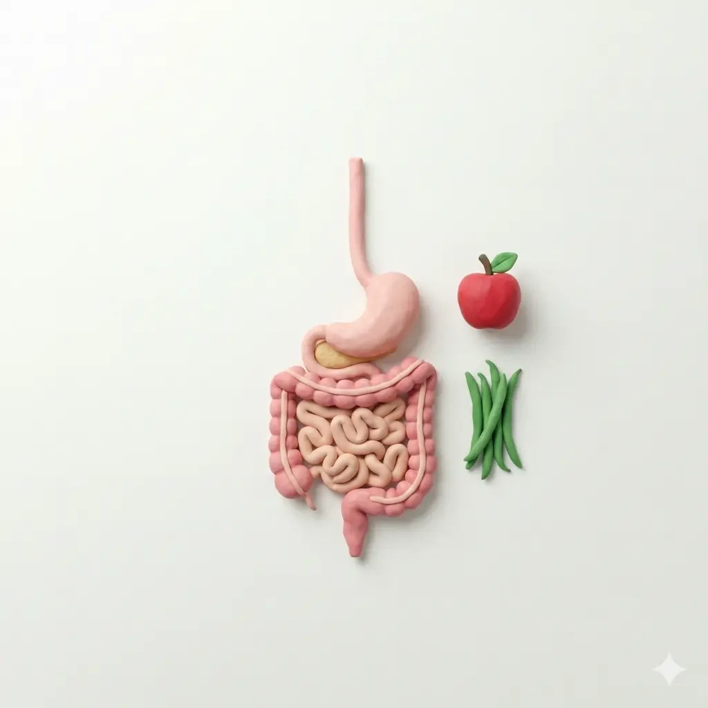 Infografía: El poder de la fibra en tu salud digestiva